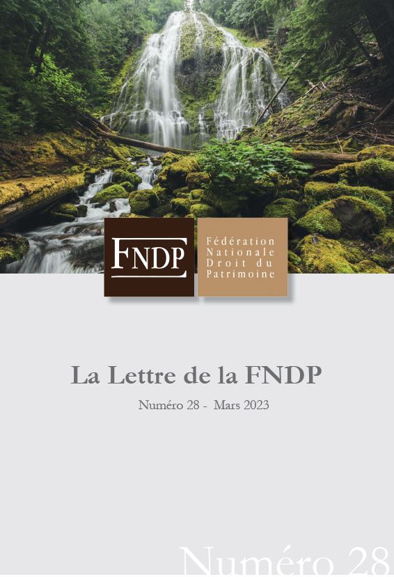 La lettre 28 de la FNDP